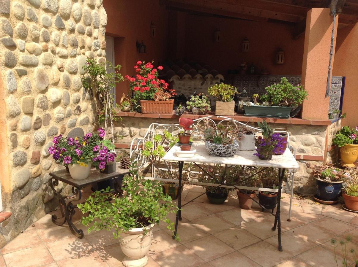 Bed and Breakfast Mas Uranie à Le Soler Extérieur photo